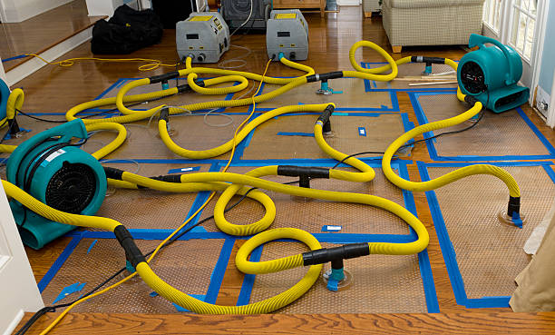 Professional Crawl Space Water Removal technician working in Westport, CT